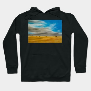 Summer Vastness Hoodie